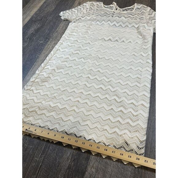 LOFT Ann Taylor Women's Lace Dress Size 8 Ivory Short Sleeve Zipper Back Midi - Picture 14 of 16